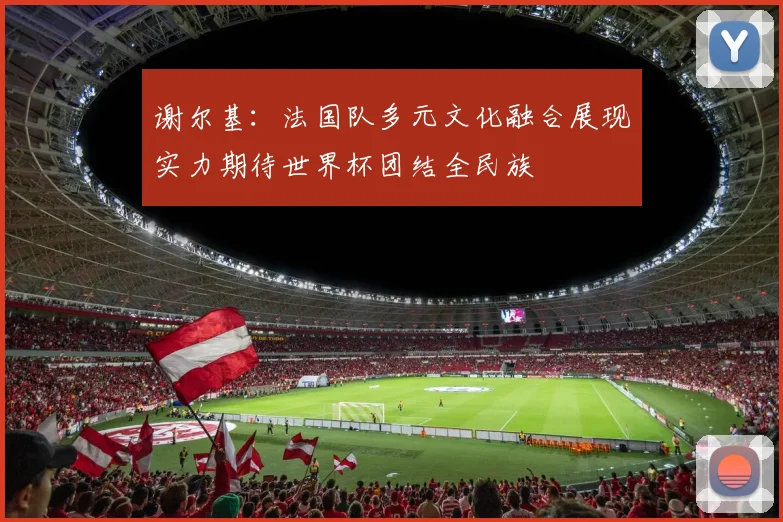 谢尔基：法国队多元文化融合展现实力期待世界杯团结全民族